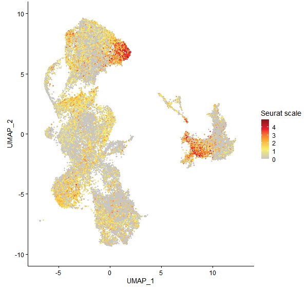 Feature plot of Mp1g00490 on UMAP
