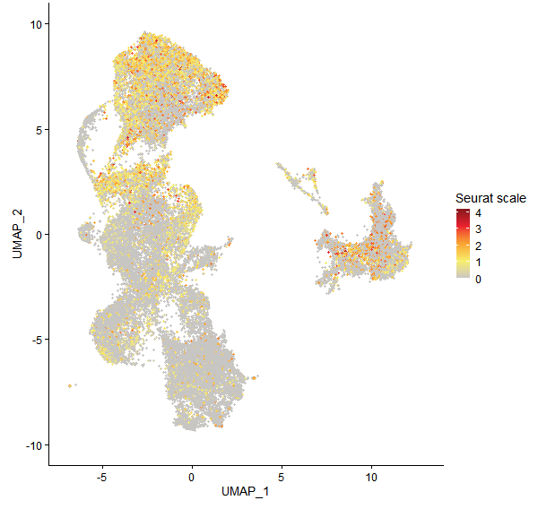 Feature plot of Mp1g02120 on UMAP