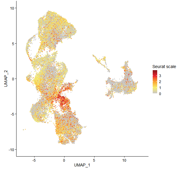 Feature plot of Mp1g04040 on UMAP