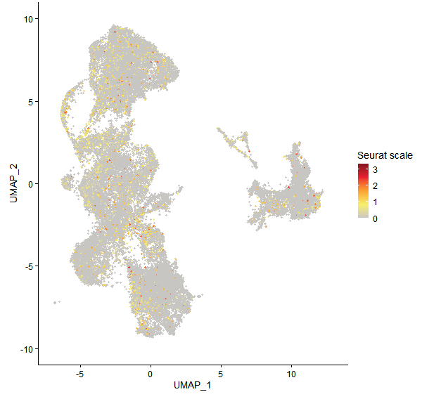 Feature plot of Mp1g04480 on UMAP