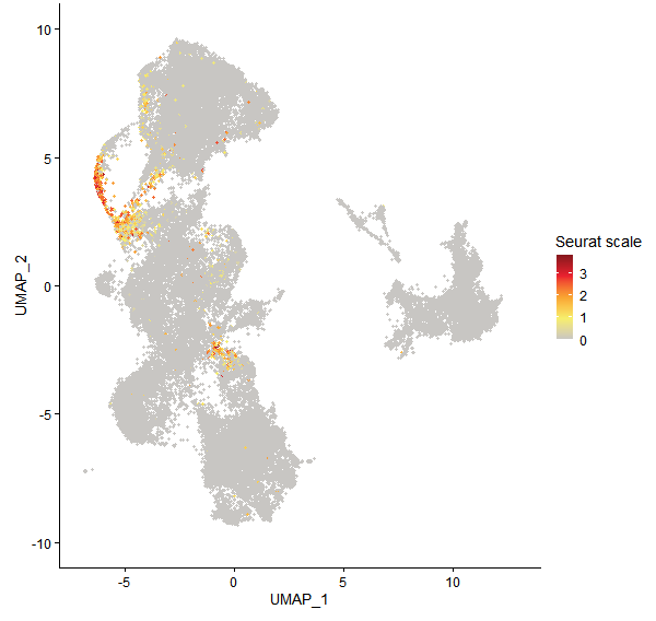 Feature plot of Mp1g14030 on UMAP