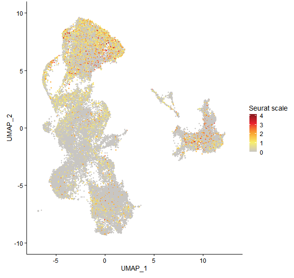 Feature plot of Mp1g14080 on UMAP