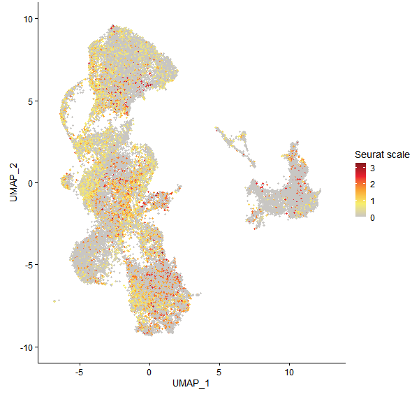 Feature plot of Mp1g15430 on UMAP