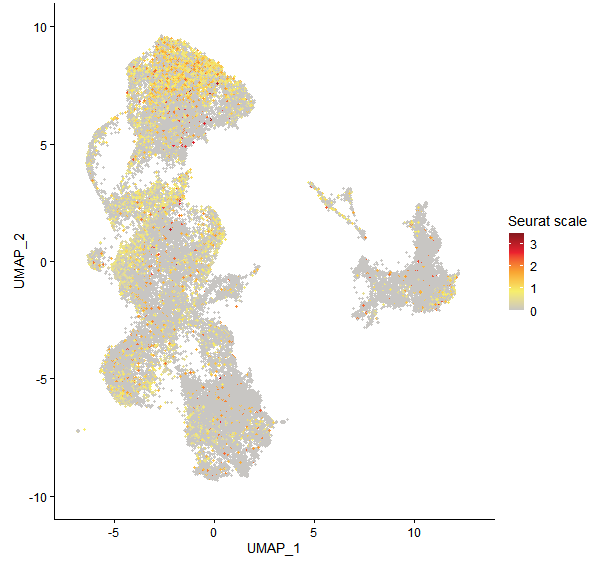 Feature plot of Mp1g15490 on UMAP
