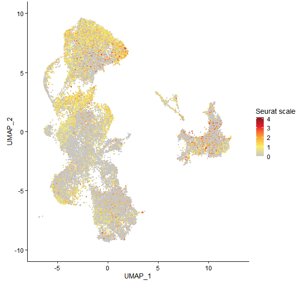 Feature plot of Mp1g17170 on UMAP