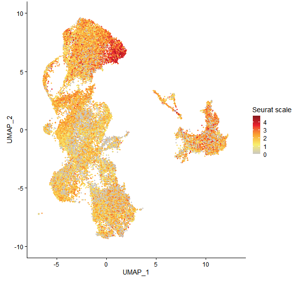 Feature plot of Mp1g22750 on UMAP