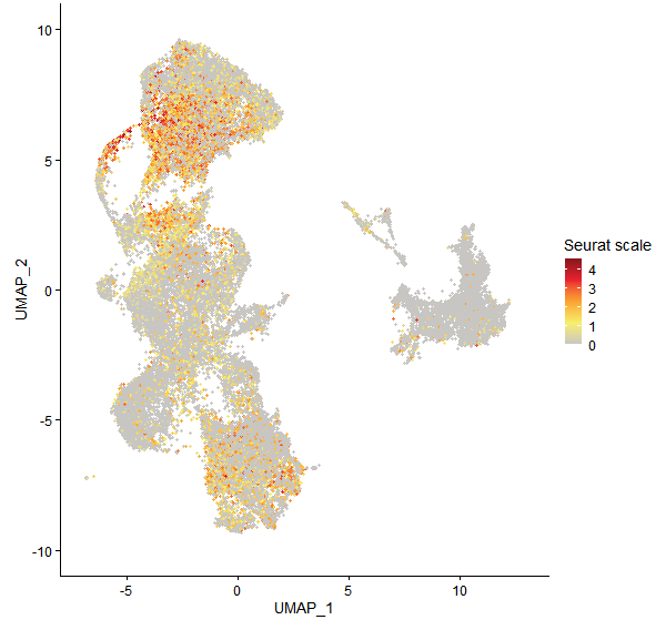 Feature plot of Mp1g24230 on UMAP
