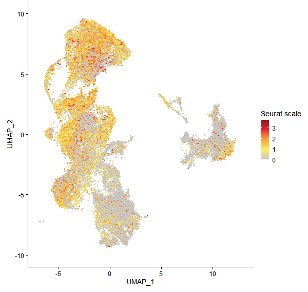 Feature plot of Mp1g26710 on UMAP