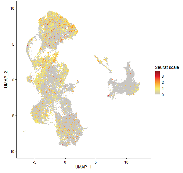 Feature plot of Mp2g00670 on UMAP