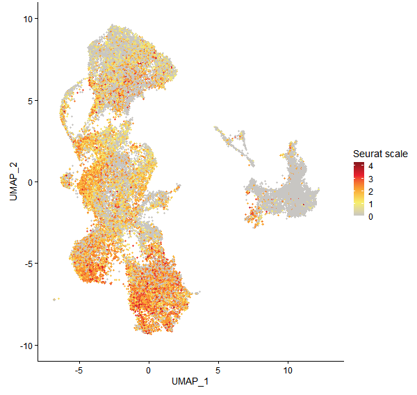 Feature plot of Mp2g01420 on UMAP