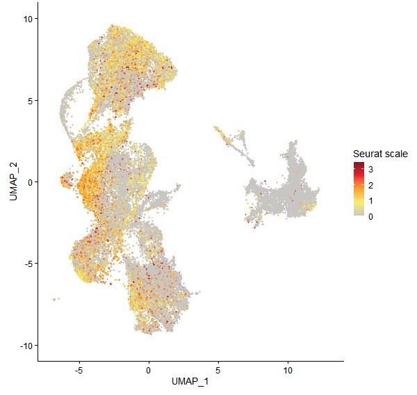 Feature plot of Mp2g02260 on UMAP