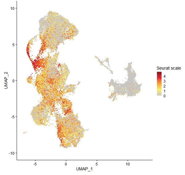 Feature plot of Mp2g02510 on UMAP