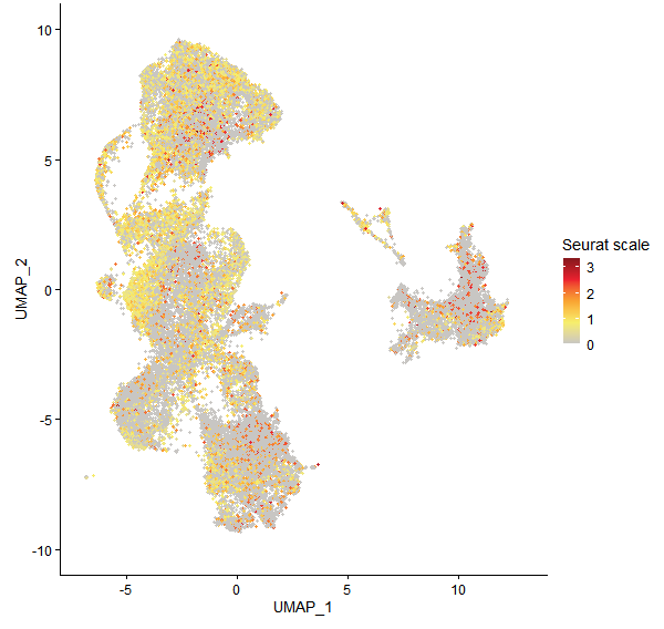 Feature plot of Mp2g04390 on UMAP