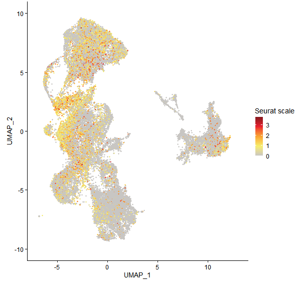 Feature plot of Mp2g04420 on UMAP