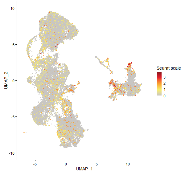 Feature plot of Mp2g04900 on UMAP