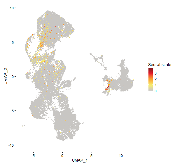 Feature plot of Mp2g05780 on UMAP
