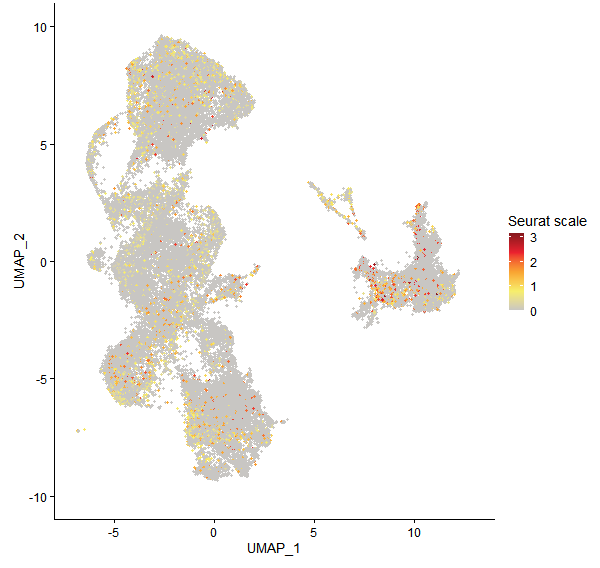 Feature plot of Mp2g06140 on UMAP