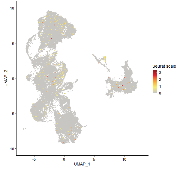 Feature plot of Mp2g07430 on UMAP