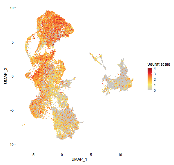 Feature plot of Mp2g07580 on UMAP