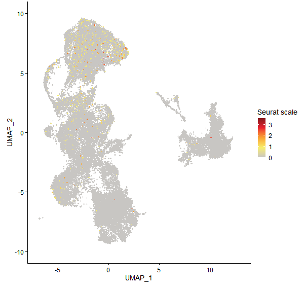 Feature plot of Mp2g08260 on UMAP
