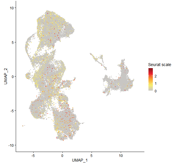 Feature plot of Mp2g10500 on UMAP