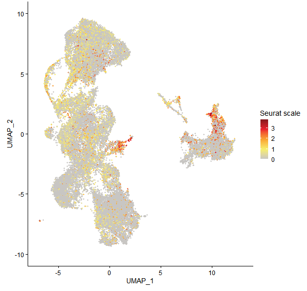 Feature plot of Mp2g10790 on UMAP