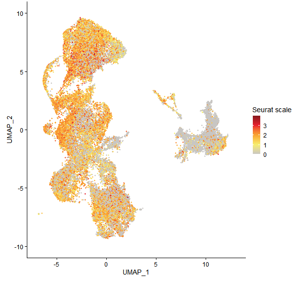 Feature plot of Mp2g11880 on UMAP