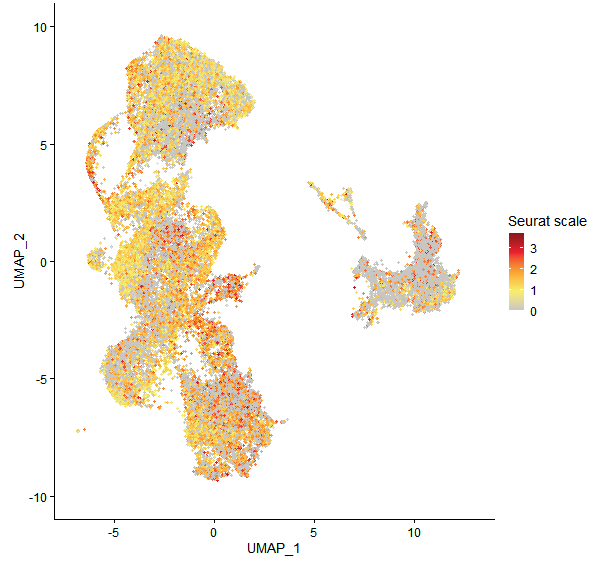 Feature plot of Mp2g15490 on UMAP