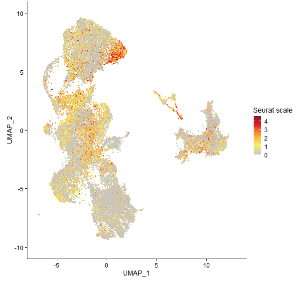Feature plot of Mp2g16060 on UMAP