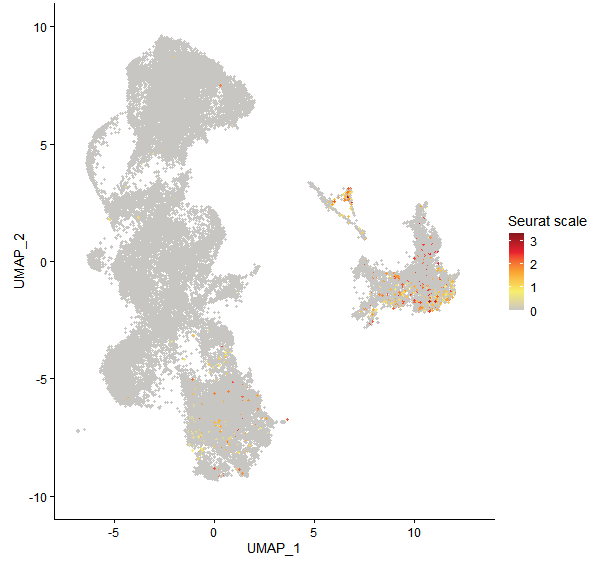 Feature plot of Mp2g16630 on UMAP