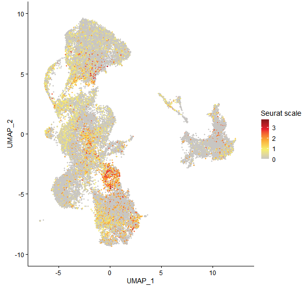 Feature plot of Mp2g16780 on UMAP