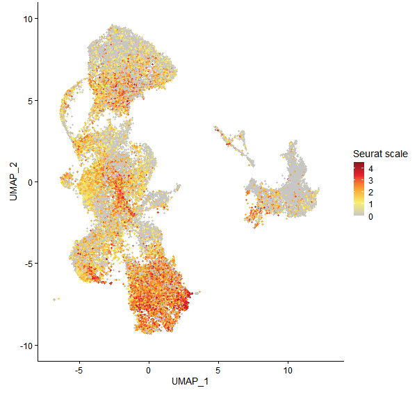 Feature plot of Mp2g19430 on UMAP