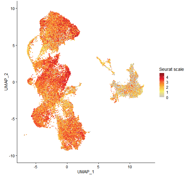 Feature plot of Mp2g20880 on UMAP