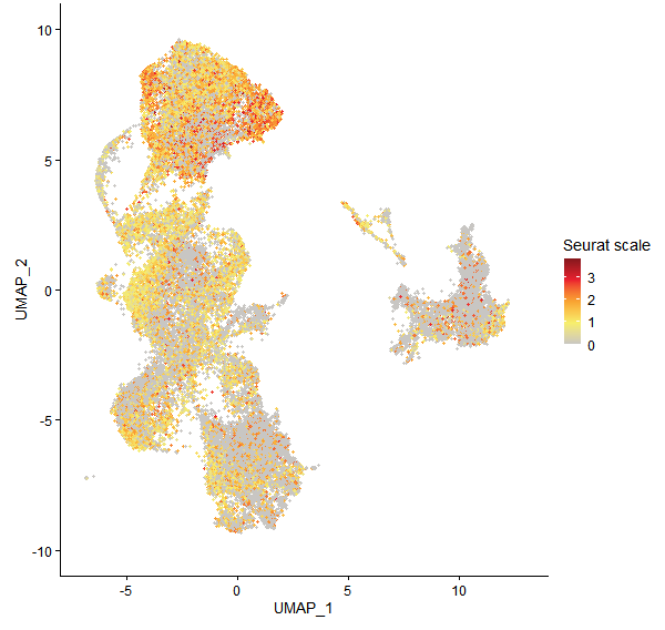 Feature plot of Mp2g21100 on UMAP