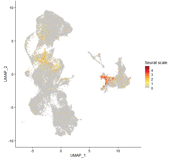Feature plot of Mp2g24440 on UMAP