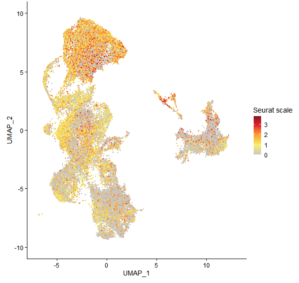 Feature plot of Mp2g24510 on UMAP