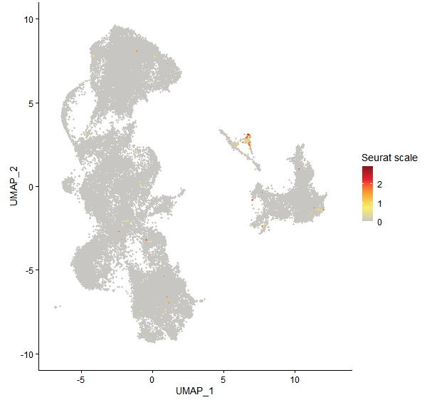 Feature plot of Mp2g24710 on UMAP