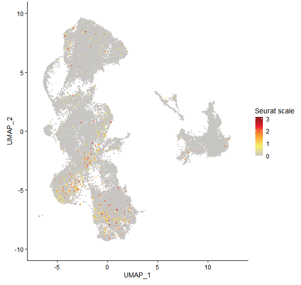 Feature plot of Mp2g25940 on UMAP