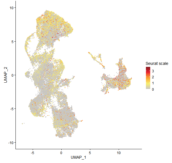 Feature plot of Mp2g26540 on UMAP