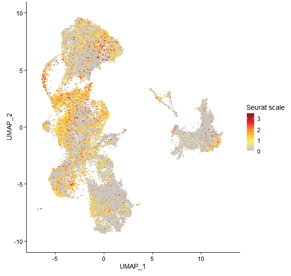 Feature plot of Mp3g02080 on UMAP