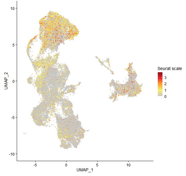 Feature plot of Mp3g02650 on UMAP