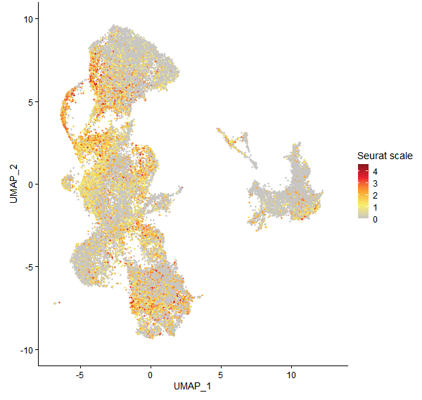 Feature plot of Mp3g03930 on UMAP