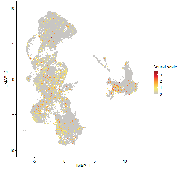 Feature plot of Mp3g04300 on UMAP