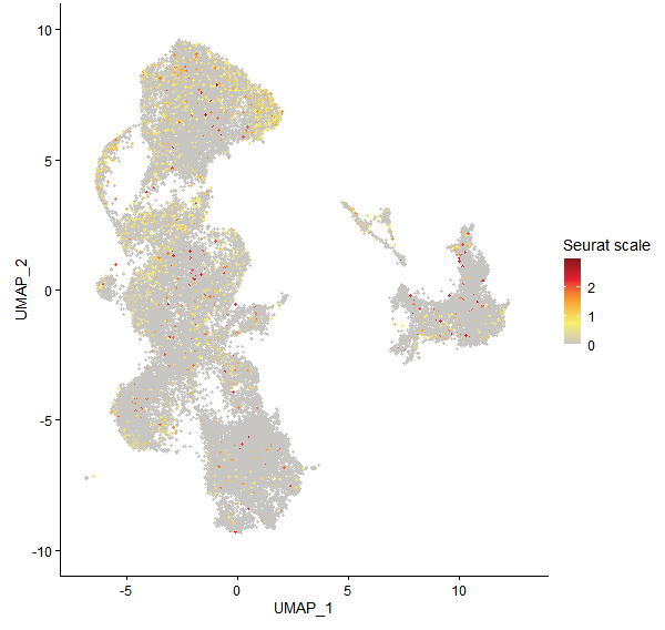 Feature plot of Mp3g04360 on UMAP