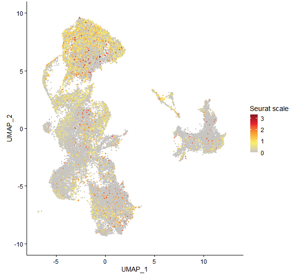 Feature plot of Mp3g04390 on UMAP