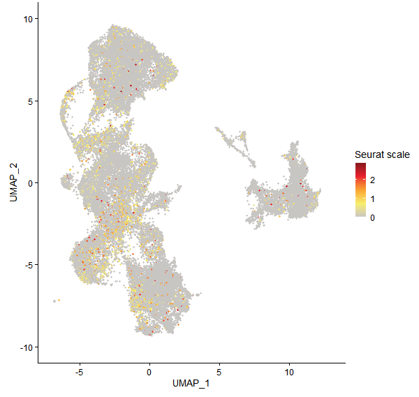 Feature plot of Mp3g06310 on UMAP