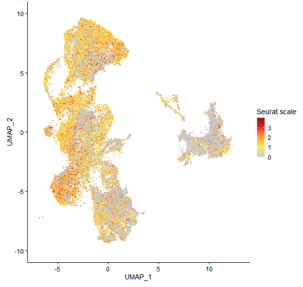 Feature plot of Mp3g08790 on UMAP