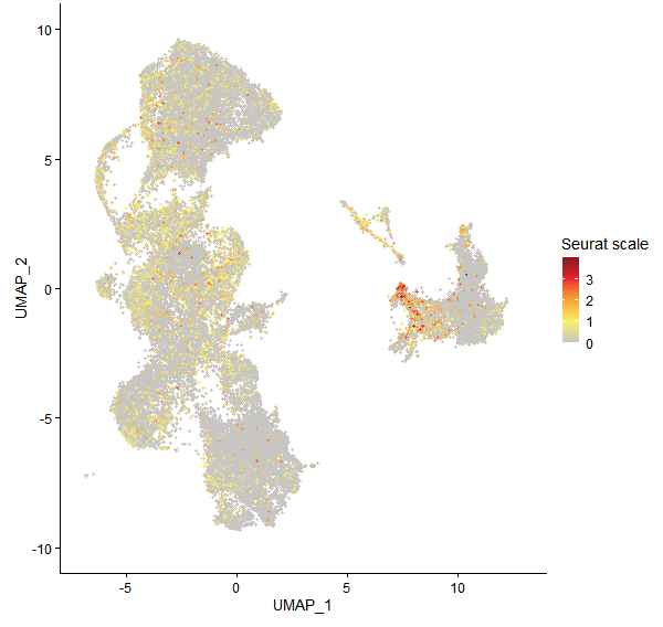 Feature plot of Mp3g20340 on UMAP