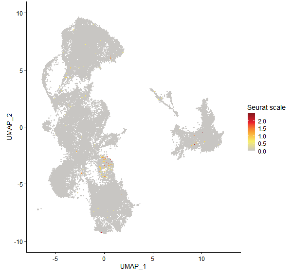 Feature plot of Mp3g20990 on UMAP