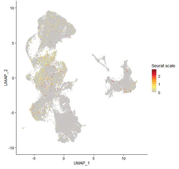 Feature plot of Mp3g21350 on UMAP